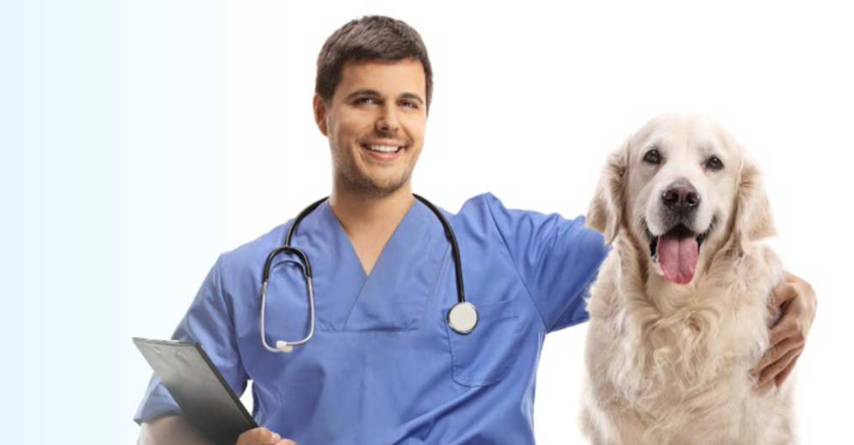 veterinarian and dog